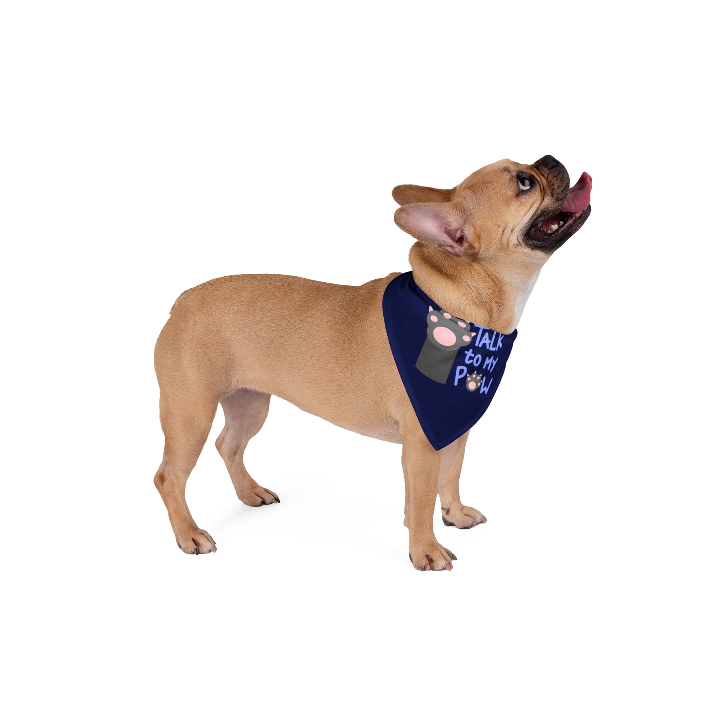 “Talk to My Paw” Dog Bandana – Funny Pet Scarf for Stylish Pups | National Dog Day Edition