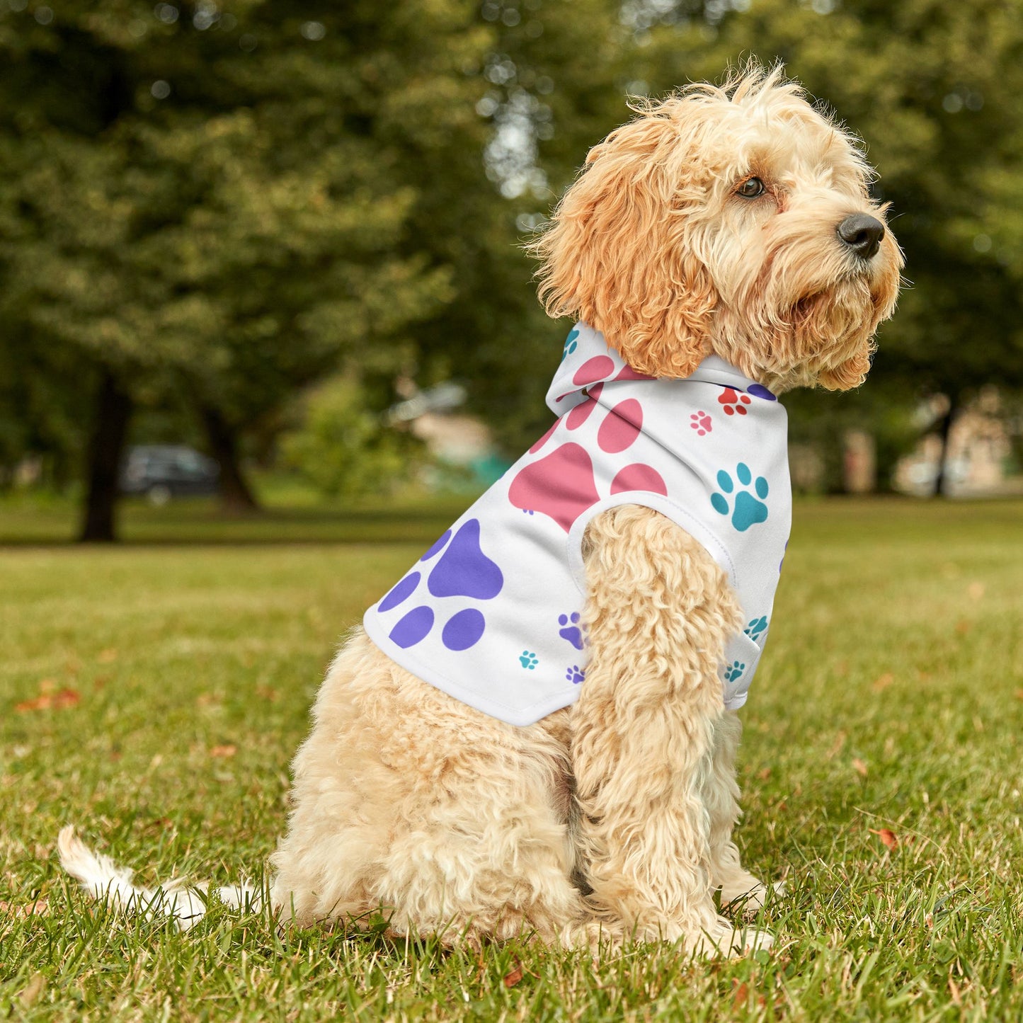 Colorful Paw Print Pet Hoodie – Soft Custom Dog Hoodie for National Dog Day & Year-Round Style