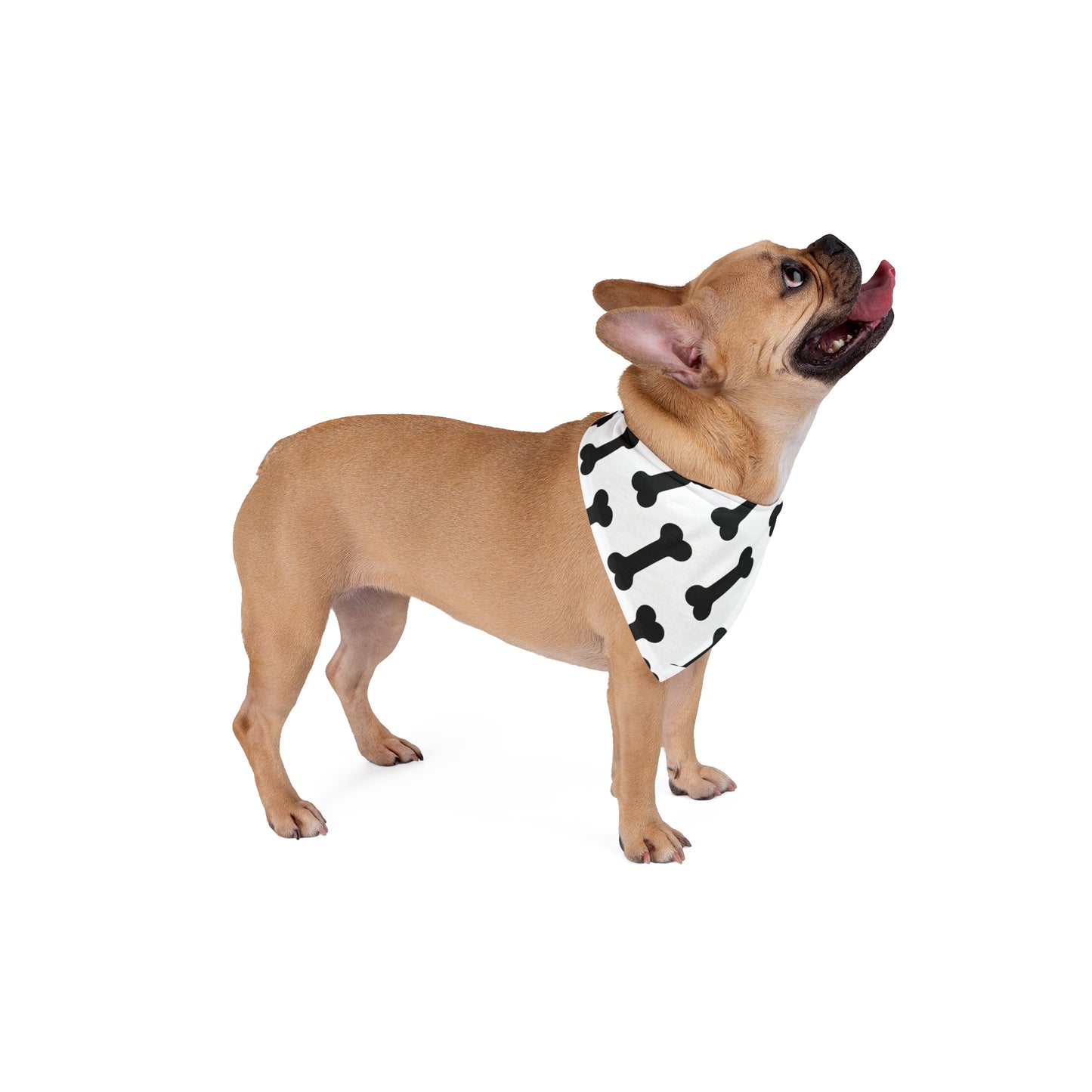 Dog Bandana - Bone Print Pet Scarf for Small Medium Large Dogs Cute Dog Accessory for National Dog Day